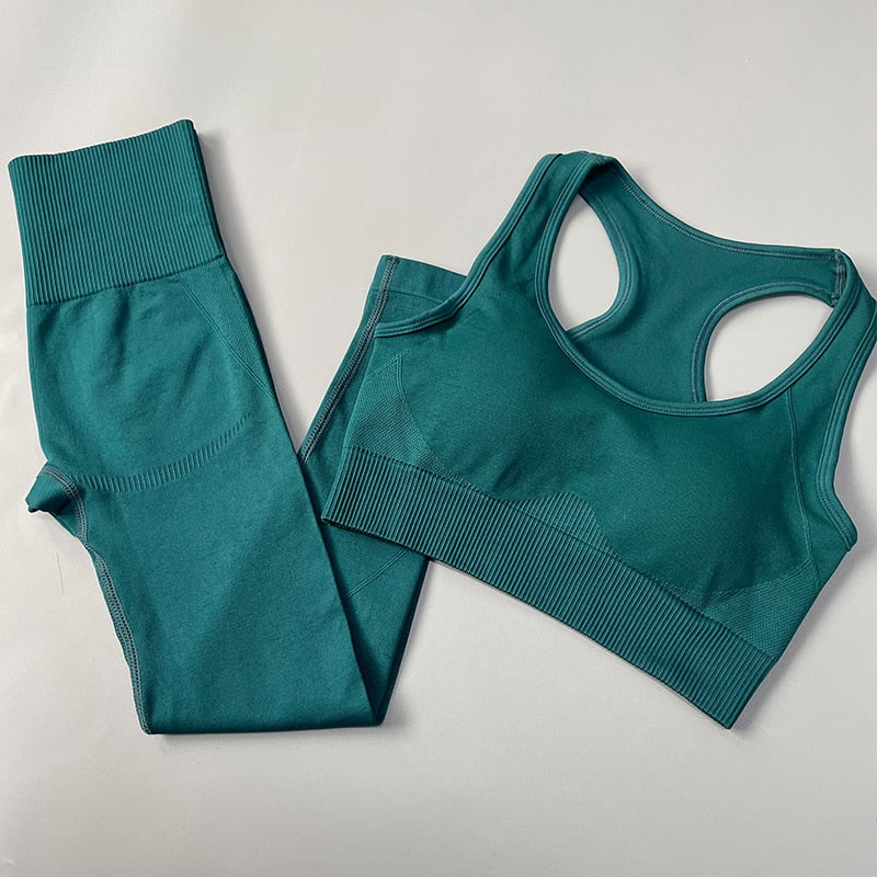 Seamless Women Yoga Set