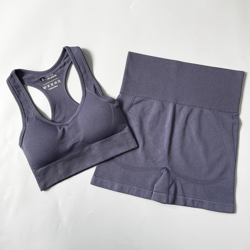 Seamless Women Yoga Set