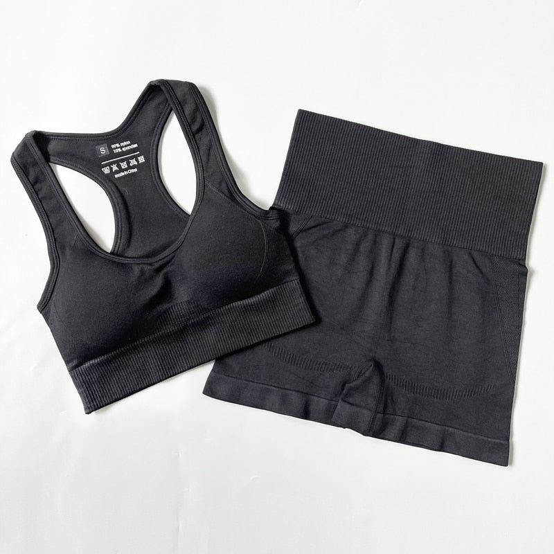 Seamless Women Yoga Set