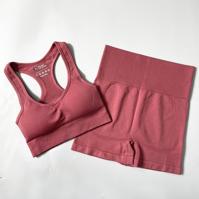 Seamless Women Yoga Set