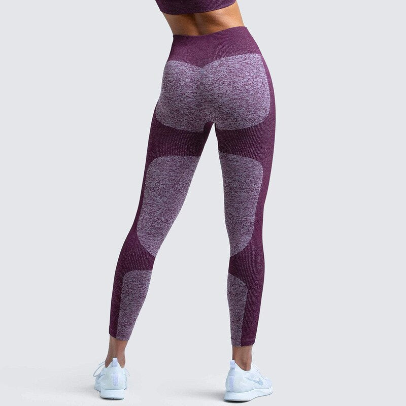 Seamless Leggings Yoga Pants