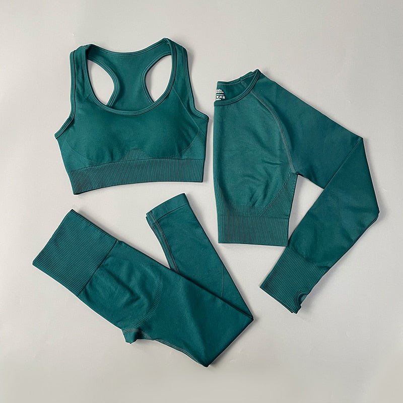 Seamless Women Yoga Set