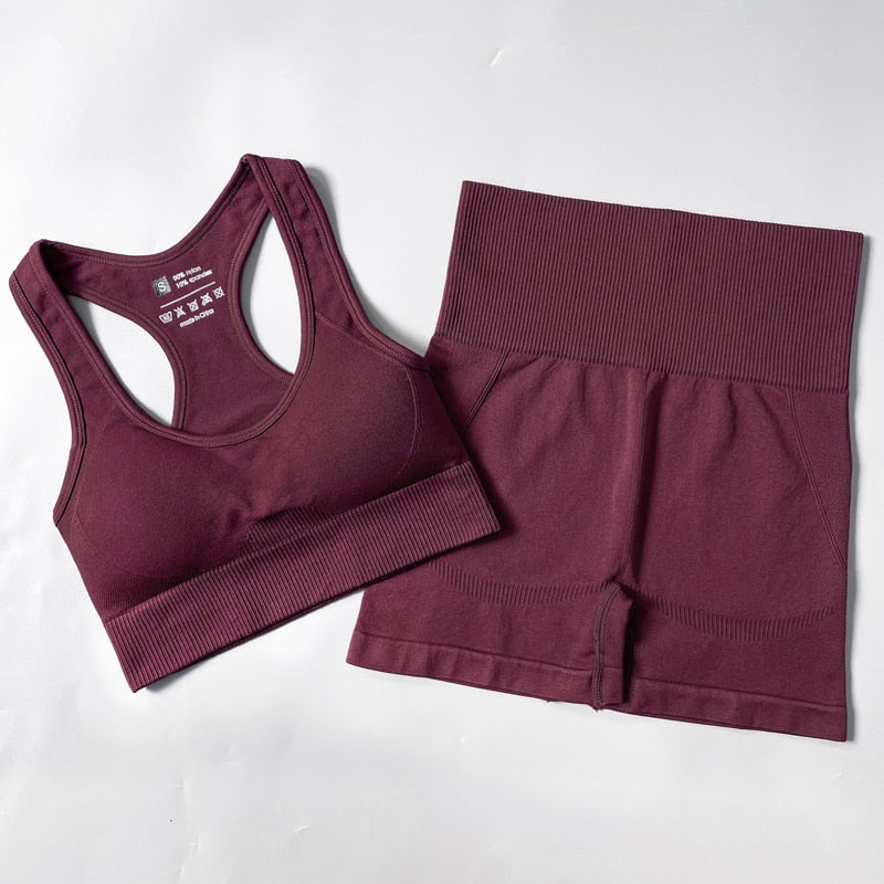 Seamless Women Yoga Set